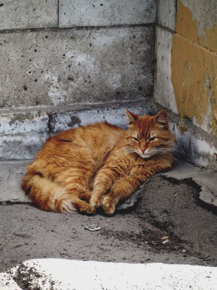 Photograph by Иван Винцковский