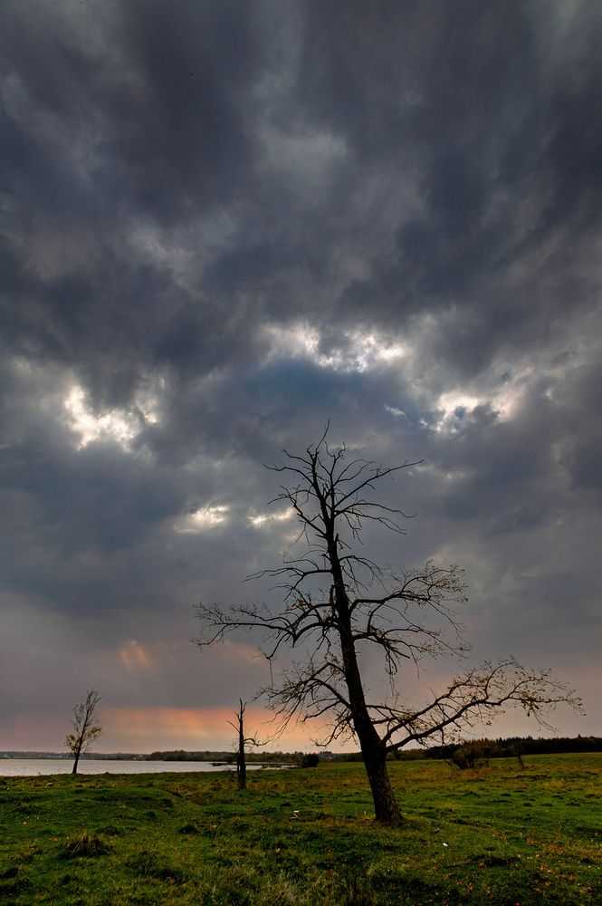 Предчувствие