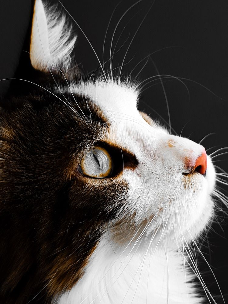 Photograph by София Лысова