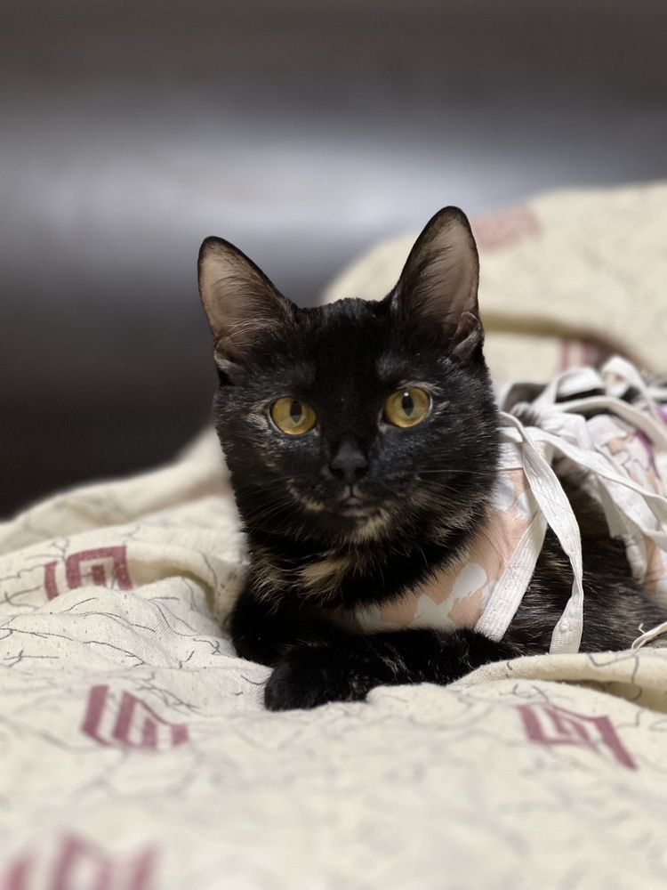 Photograph by София Лысова