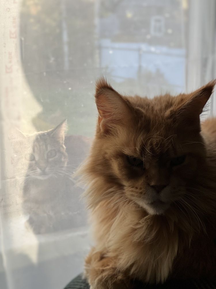 Photograph by София Лысова