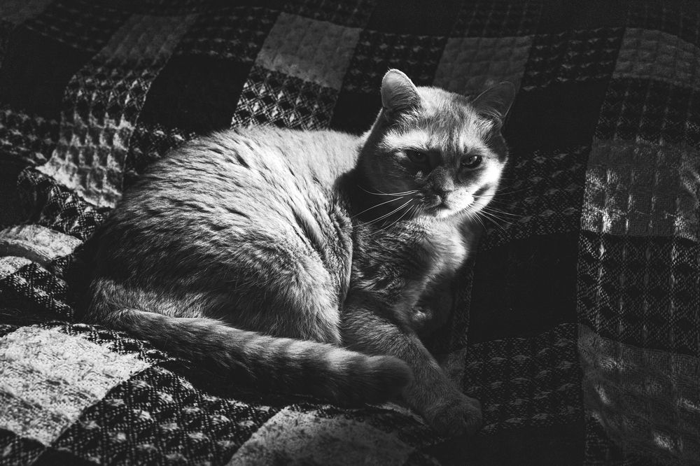 Фотография автора Ирина Гриценко