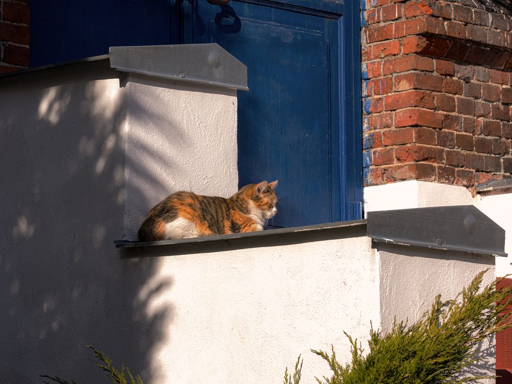 Фотография автора Ирина Гриценко