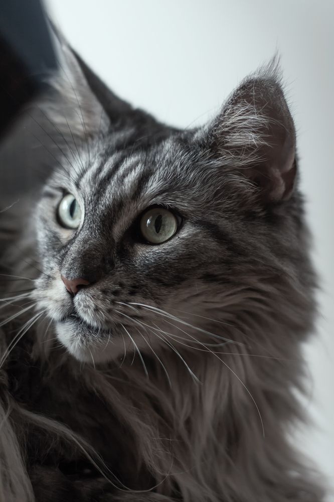 Photograph by Lana Soldatova