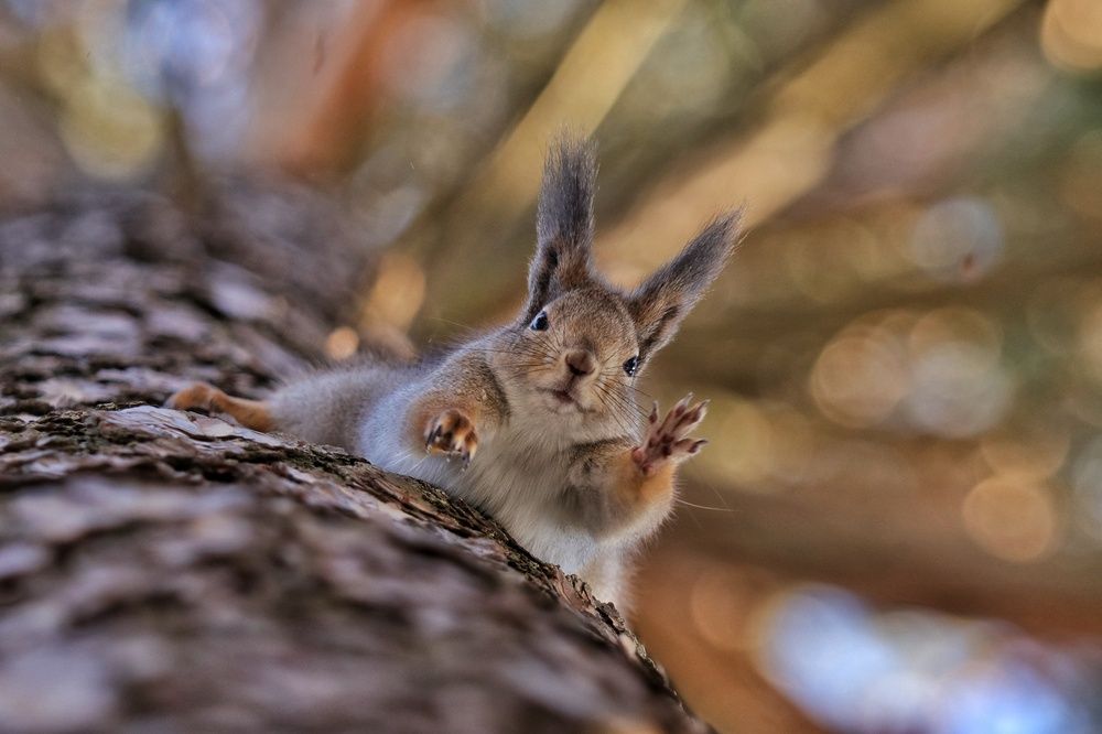 Photograph by Наталья Гайдукевич