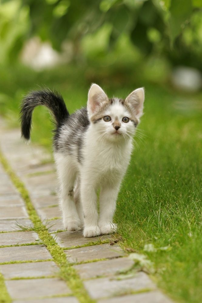 Photograph by Наталья Гайдукевич