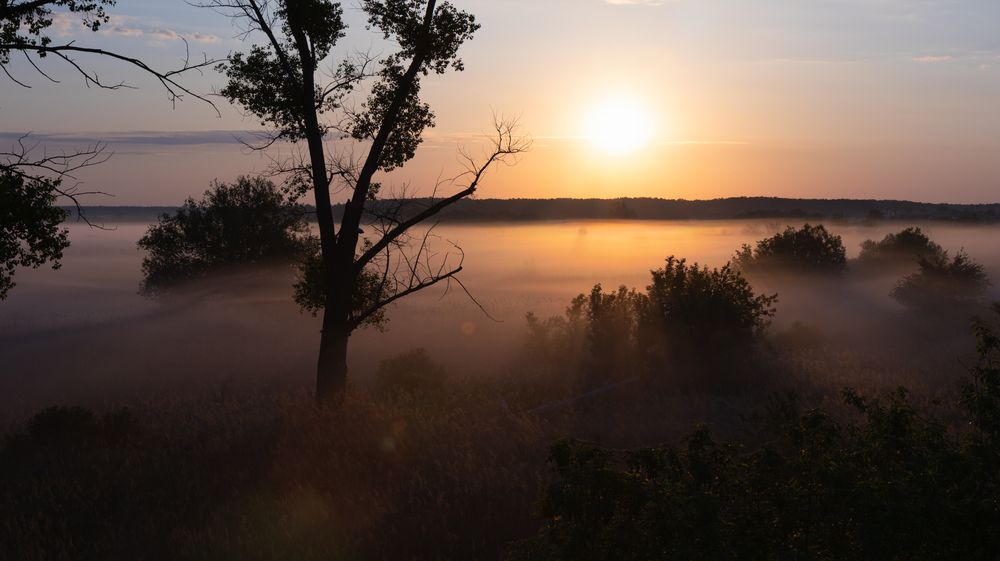 Misty dawn near the village