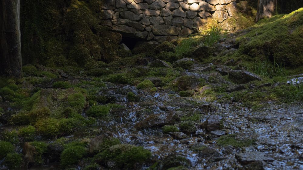 A stream near a water mill