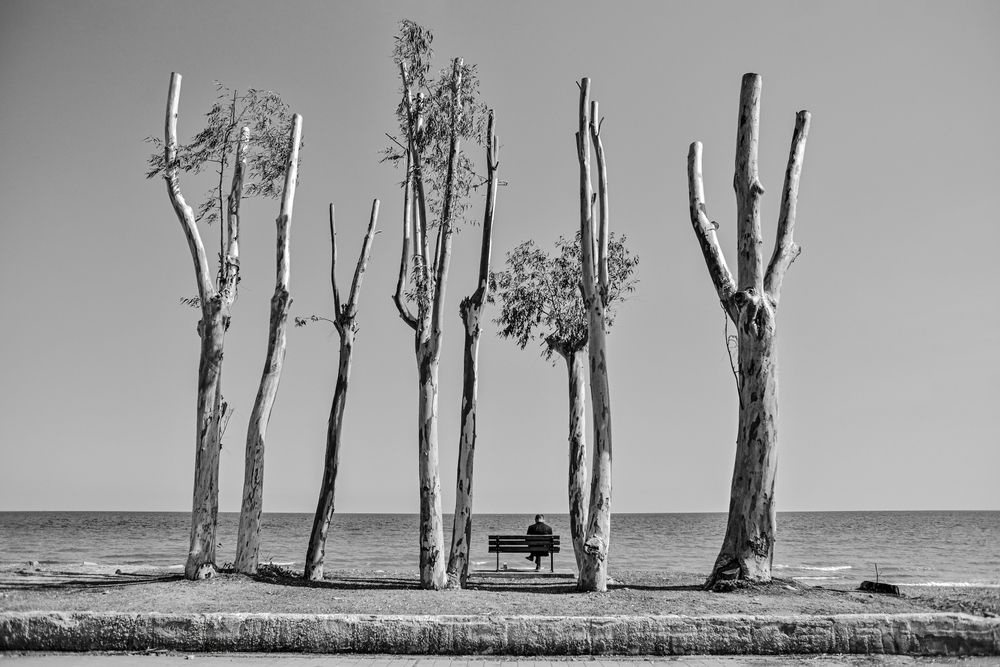 Photograph by Vladimir Shish