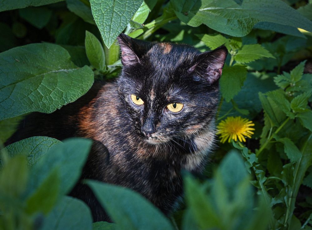 Photograph by Inna Ivanova