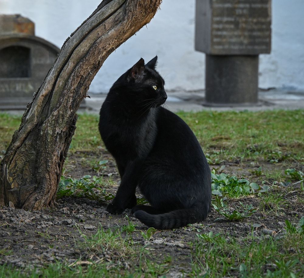 Photograph by Inna Ivanova