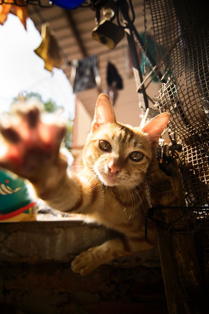 Фотография автора Bùi Nguyễn