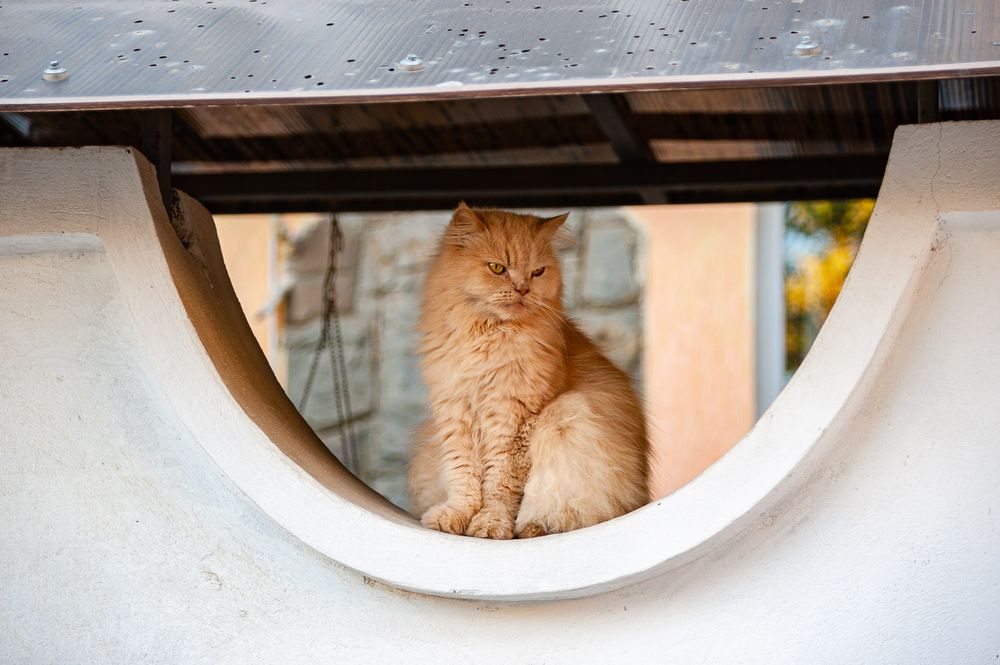 Photograph by Ирина Яук