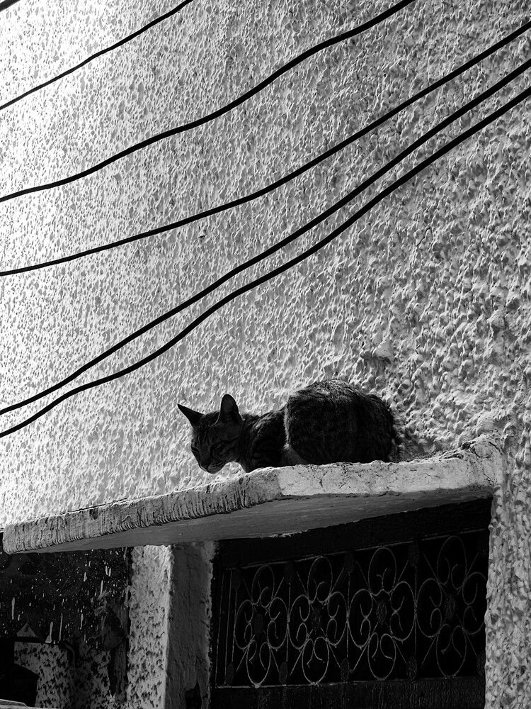 Photograph by G GOVIL