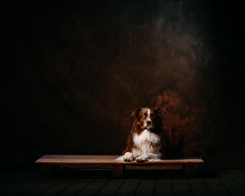 Photograph by Katarzyna Safarewicz