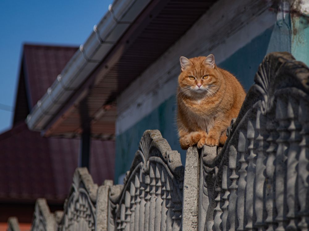 Photograph by Дмитрий Давидов