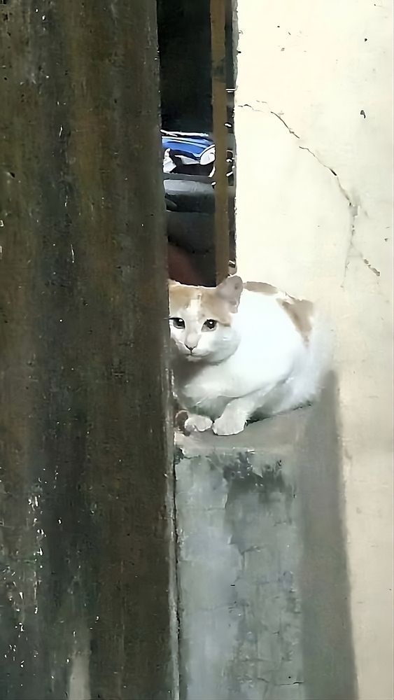 Photograph by Ambewadikar sourabh