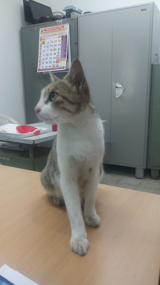 Photograph by Ambewadikar sourabh