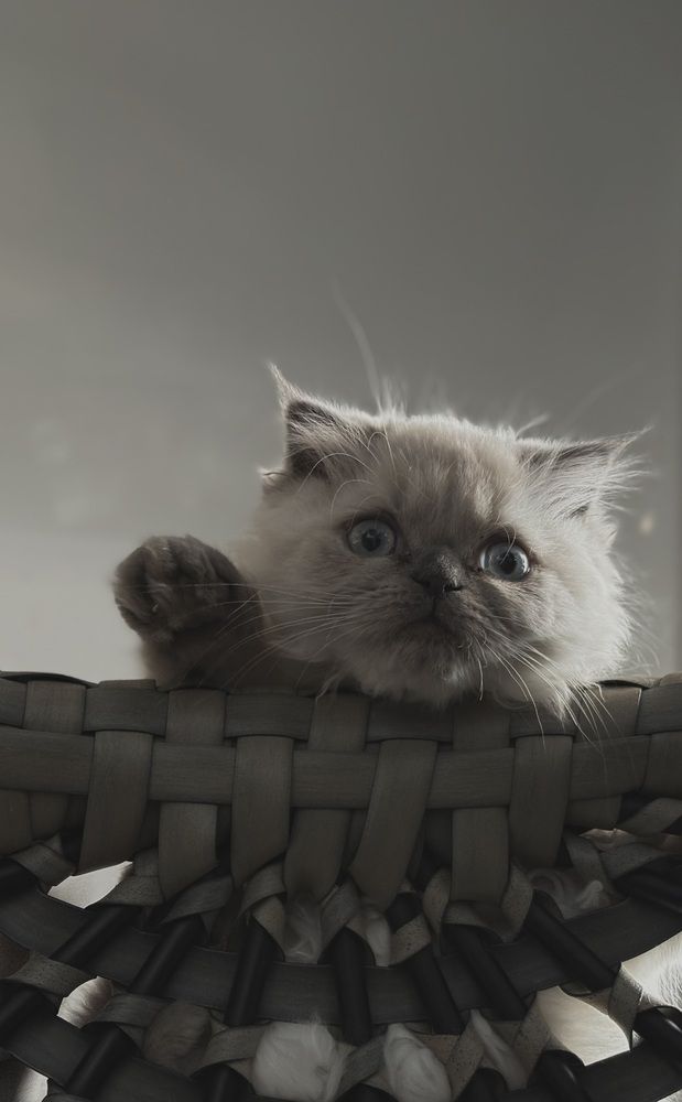 Photograph by Елена Громова