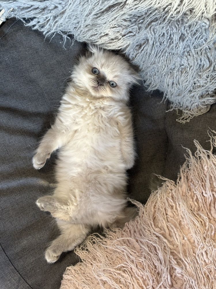 Photograph by Елена Громова