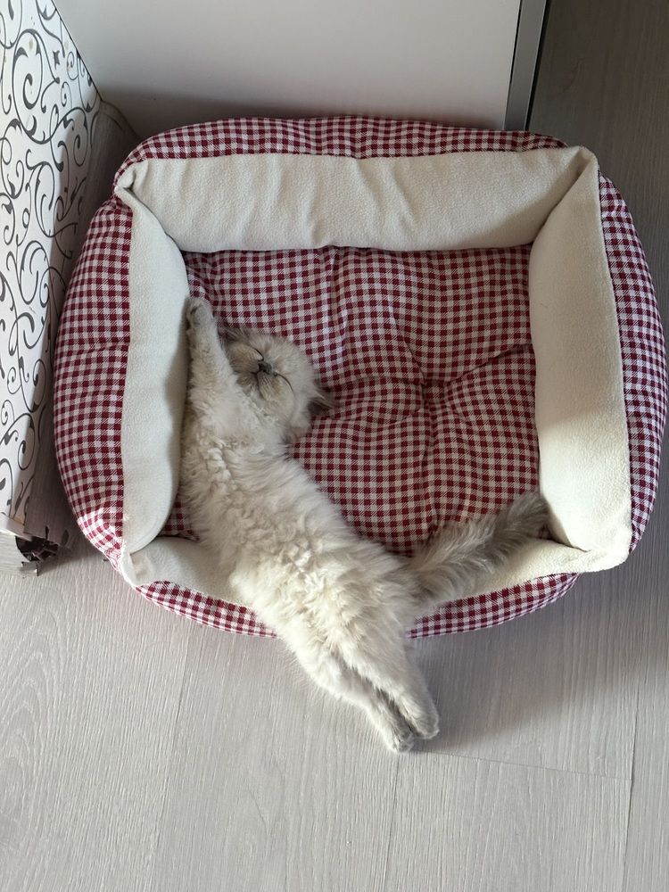 Photograph by Елена Громова