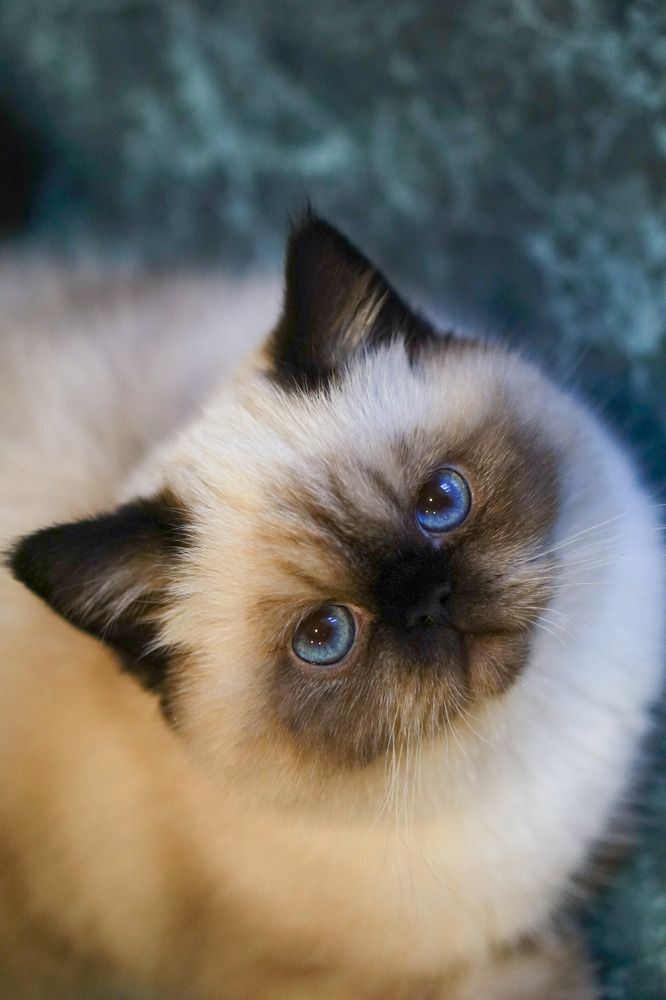 Photograph by Ольга Иванова