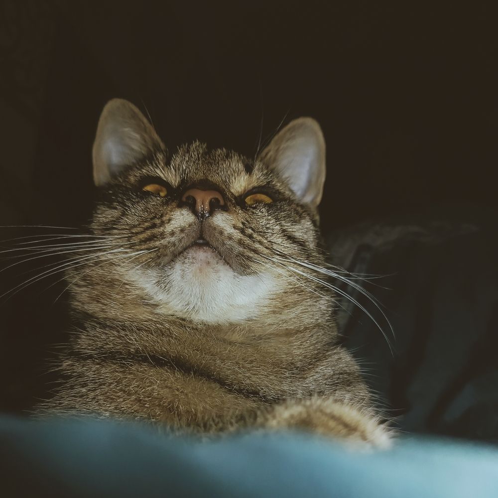 Photograph by Елена (Reed) Кузнецова