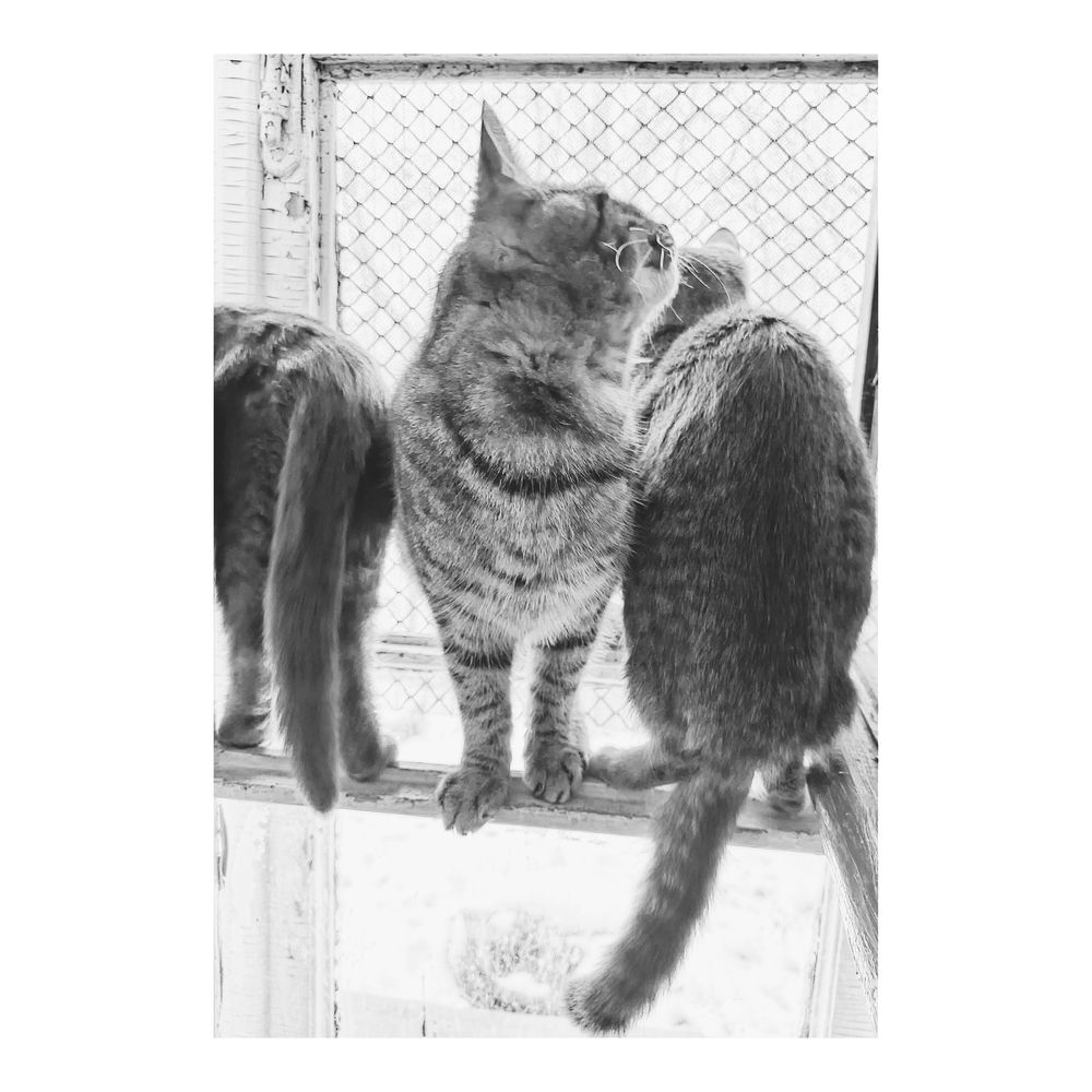 Photograph by Елена (Reed) Кузнецова