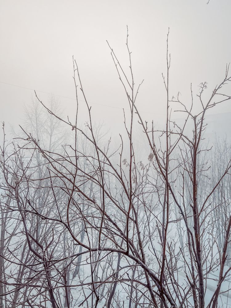 Фотография автора Ирина Павлова