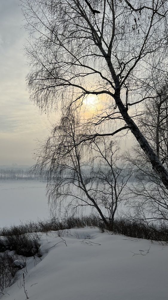 Фотография автора Ирина Павлова