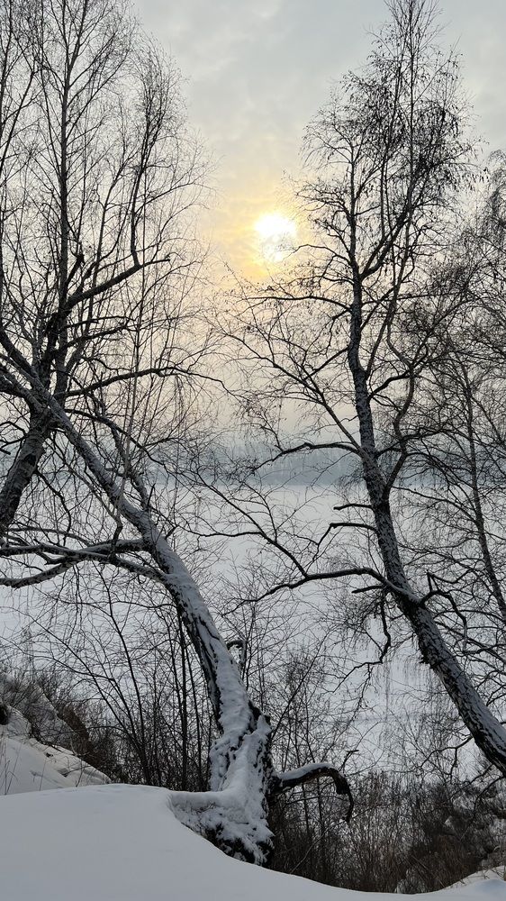 Фотография автора Ирина Павлова