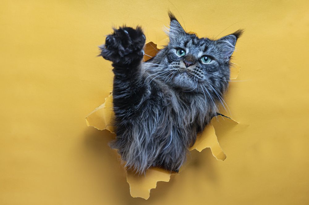 Photograph by Сергей Чупахин