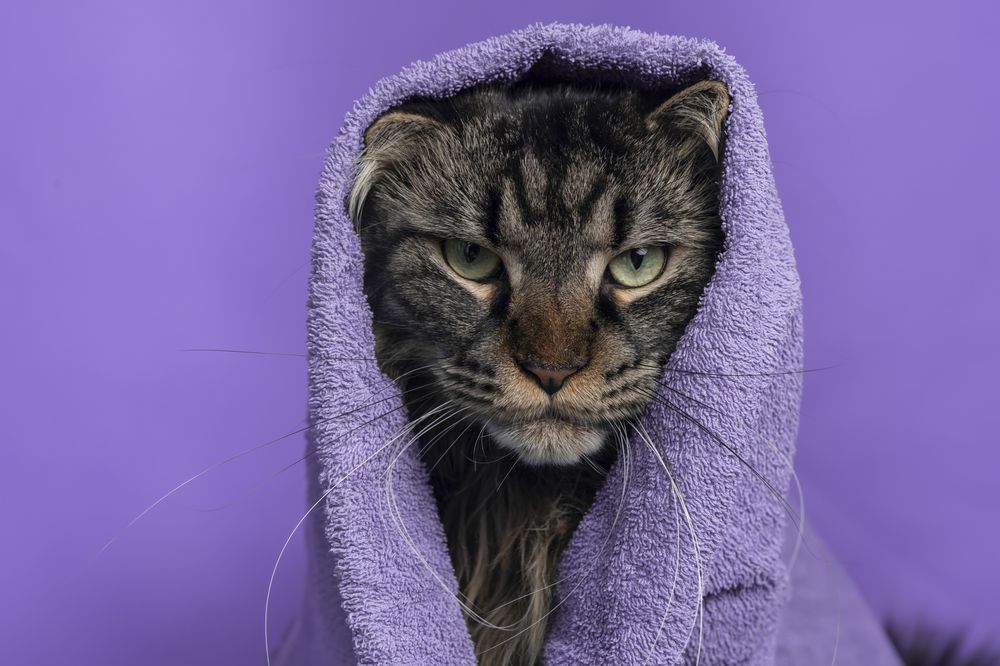 Photograph by Сергей Чупахин