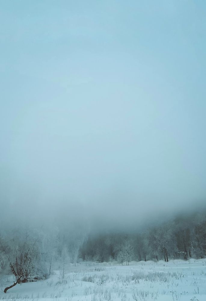 Фотография автора Ирина Павлова