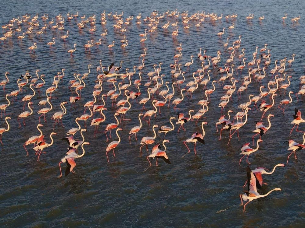 Photograph by Gülbeyaz Gencer