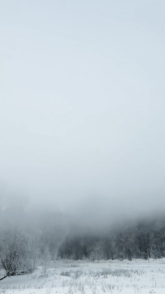 Фотография автора Ирина Павлова