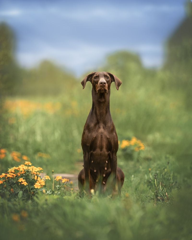 Photograph by Мария Клещенко