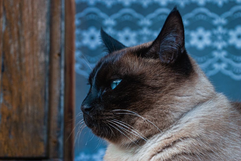 Photograph by Милена Полтавец