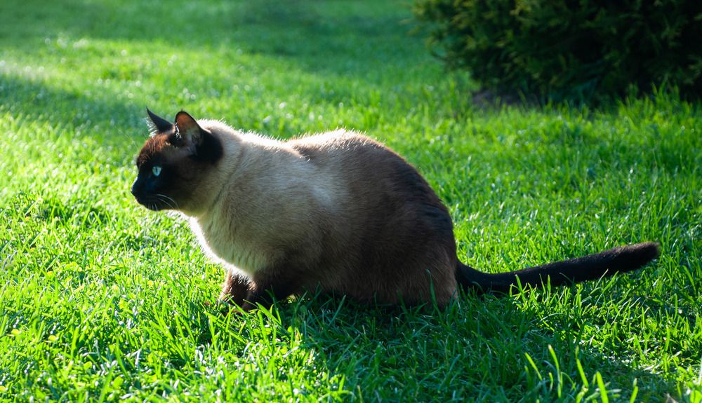 Photograph by Милена Полтавец