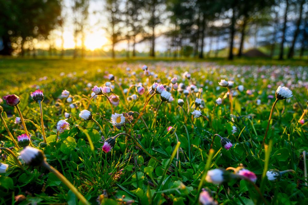 Photograph by Roman Dmitriev