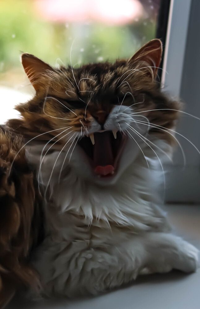 Photograph by Юлия Синицына