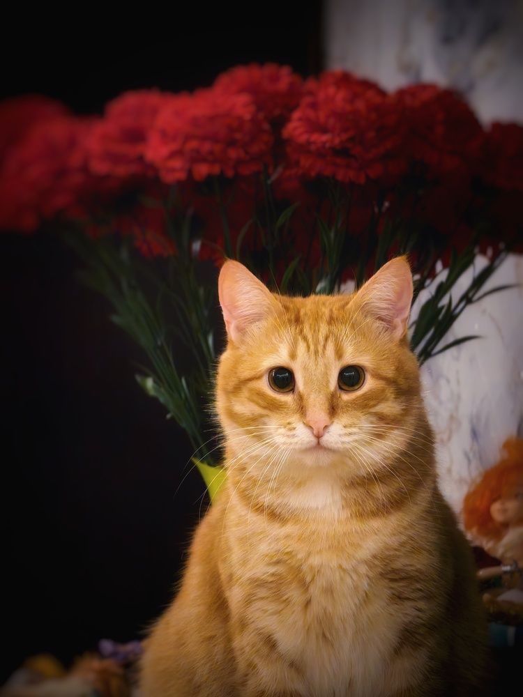 Photograph by Сергей Зайцев