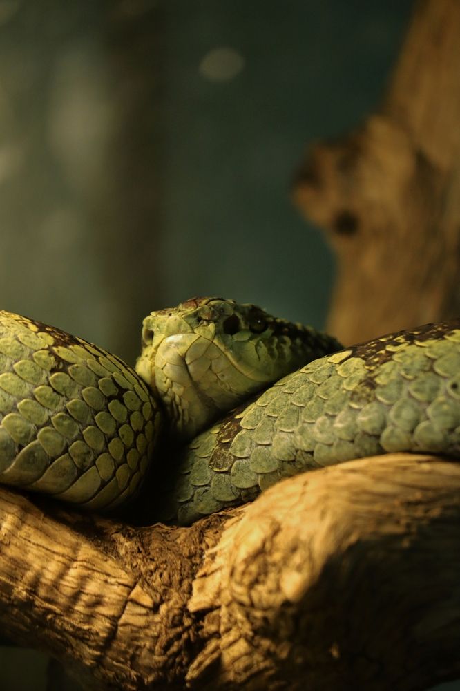 Photograph by Hari Raghavan