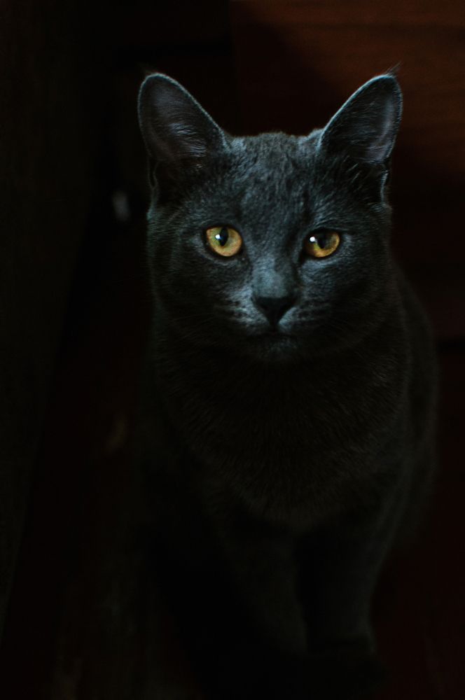 Photograph by Алена Алексеева