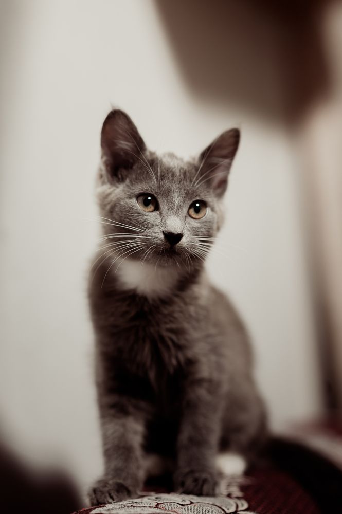 Photograph by Алена Алексеева