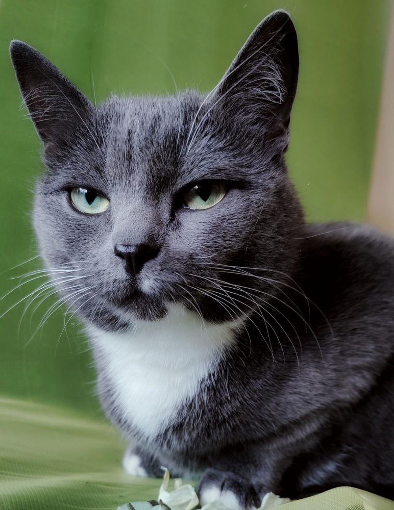 Photograph by Татьяна Гулакова