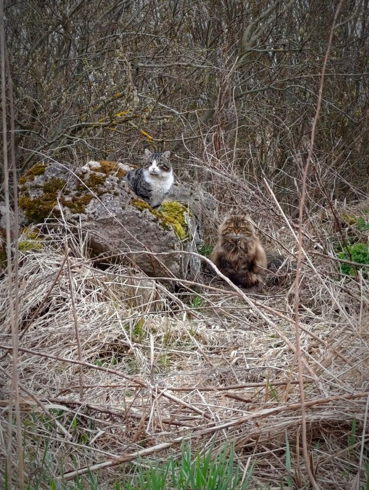 Photograph by Валерия Николаева