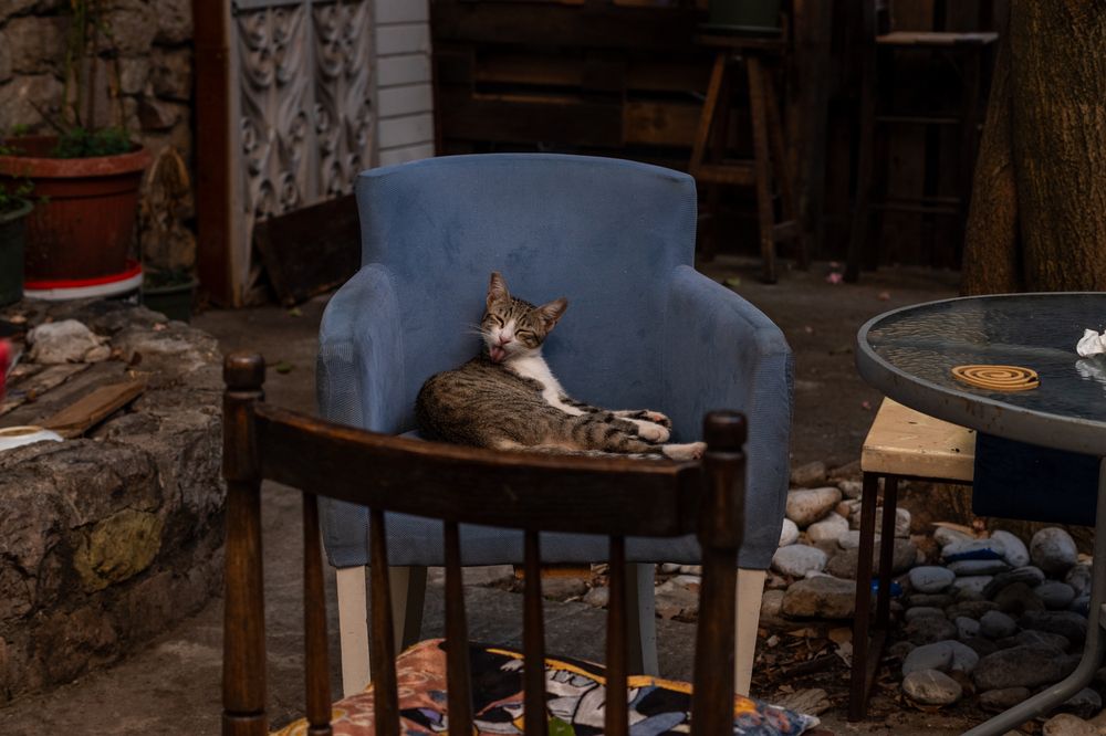 Фотография автора Наталья