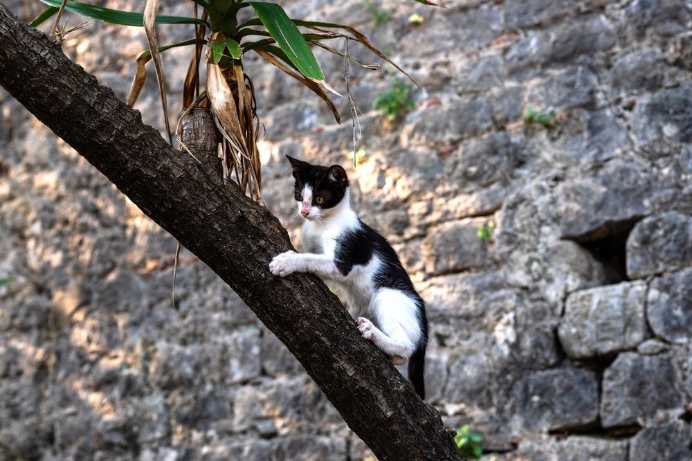 Фотография автора Наталья