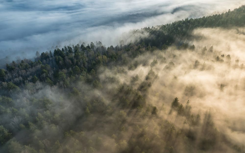 Фотография автора виталий терешонок